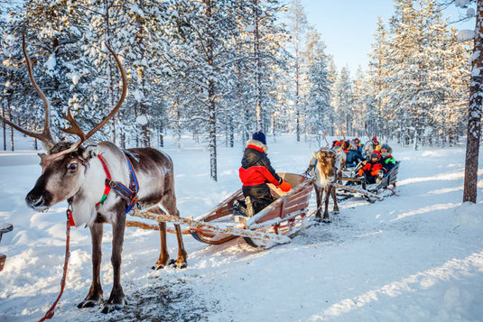 Ho ho ho Reindeer Sled Lapland 2024
